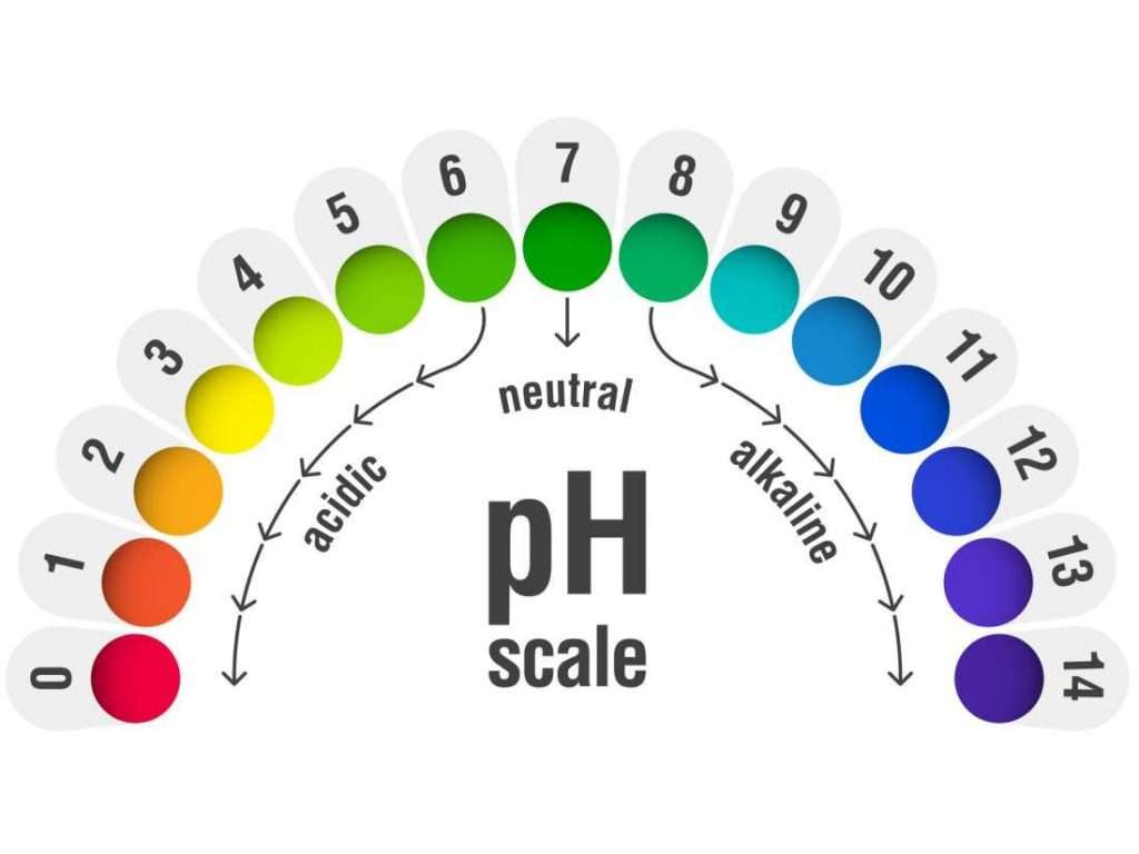 pH scale